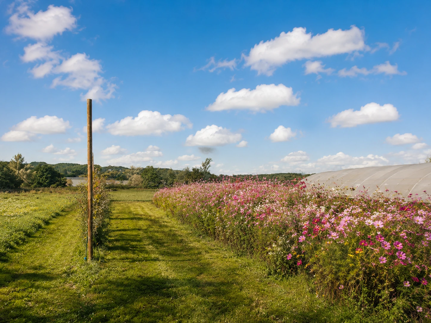 Open countryside land with wildflower borders representing land acquisitions and future development